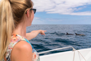 Camping Le Letty - Baladeen bateaux, decouverte dauphins
